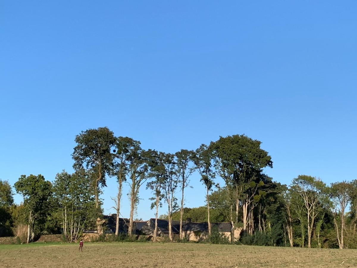 Jolie Metairie D'Une Seigneurie Bretonne. Peaule Eksteriør bilde